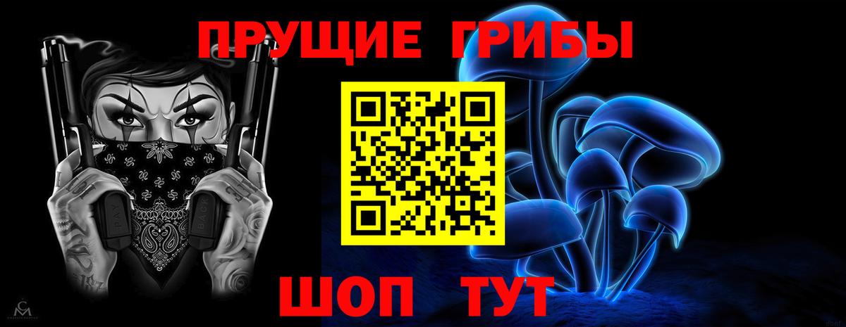 Псилоцибиновые грибы Psilocybe  Псилоцибиновые грибы мицелий  Вход с VPN  Лениногорск 